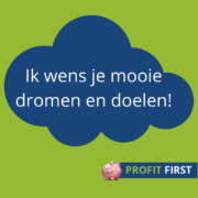 Wanneer een Profit First coach inschakelen